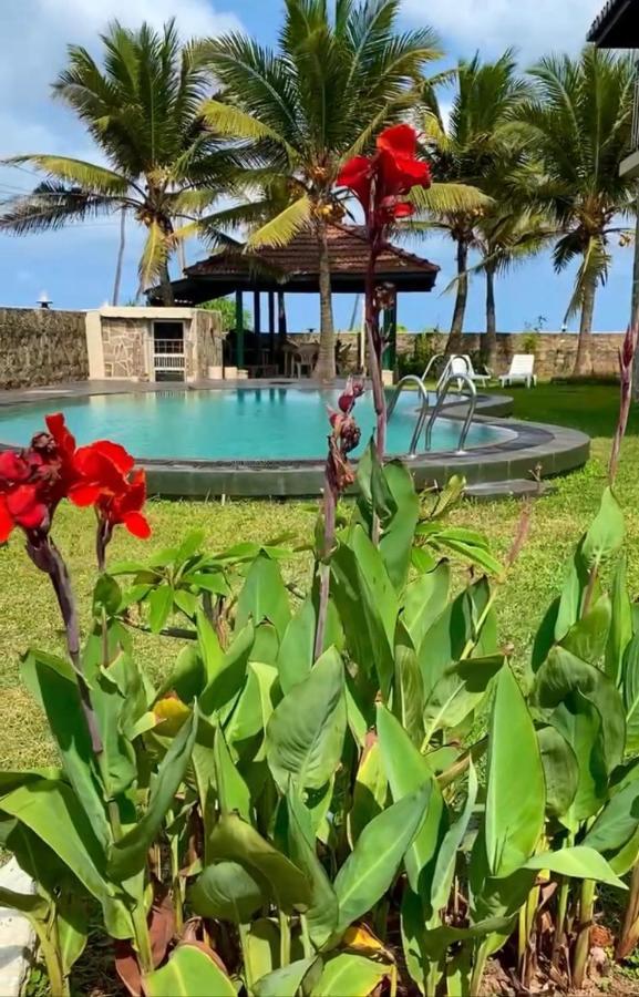 Hotel Spice Of Ceylon Chilaw Zewnętrze zdjęcie